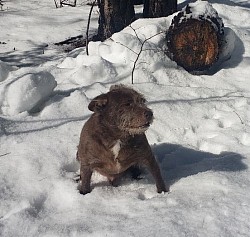 Charles loves the snow