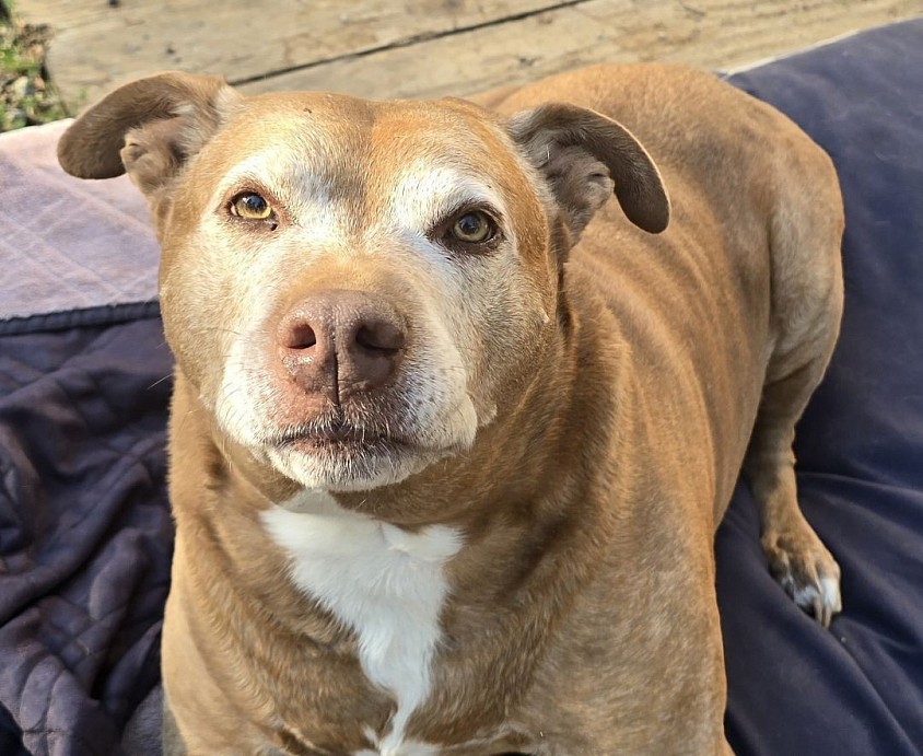 Ruby Rubenstein Rubina, 9 years young