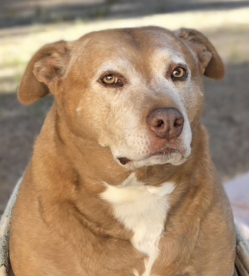 Ruby Rubenstein Rubina, 9 years young