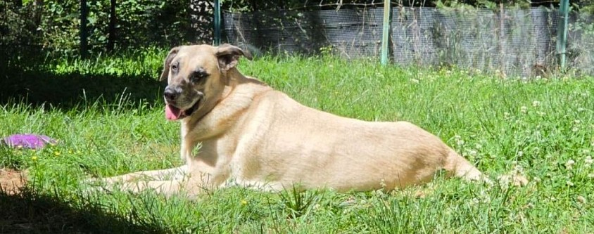 Archer 10 years 125 pounds